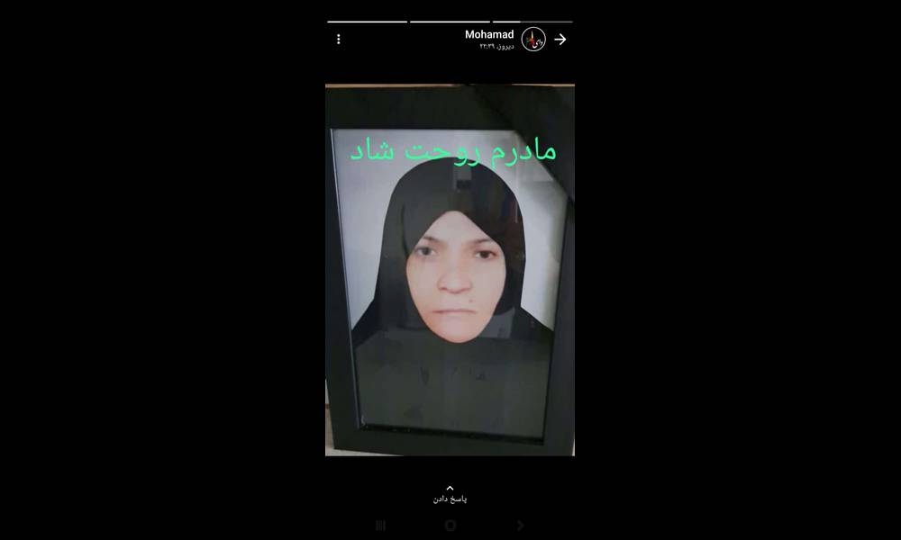 دلشادستاری